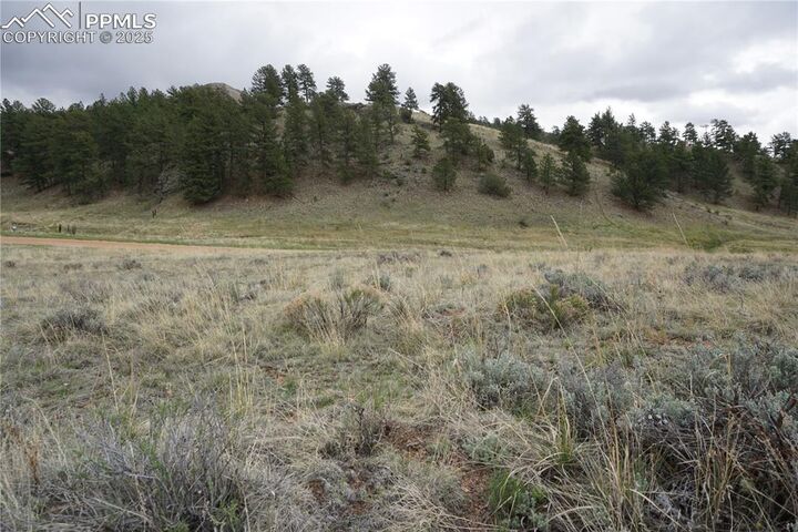 506 Forge Drive  Florissant CO 80816 photo