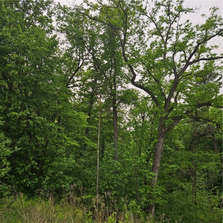Property Photo:  Tbd 330th Avenue  WI 54740 