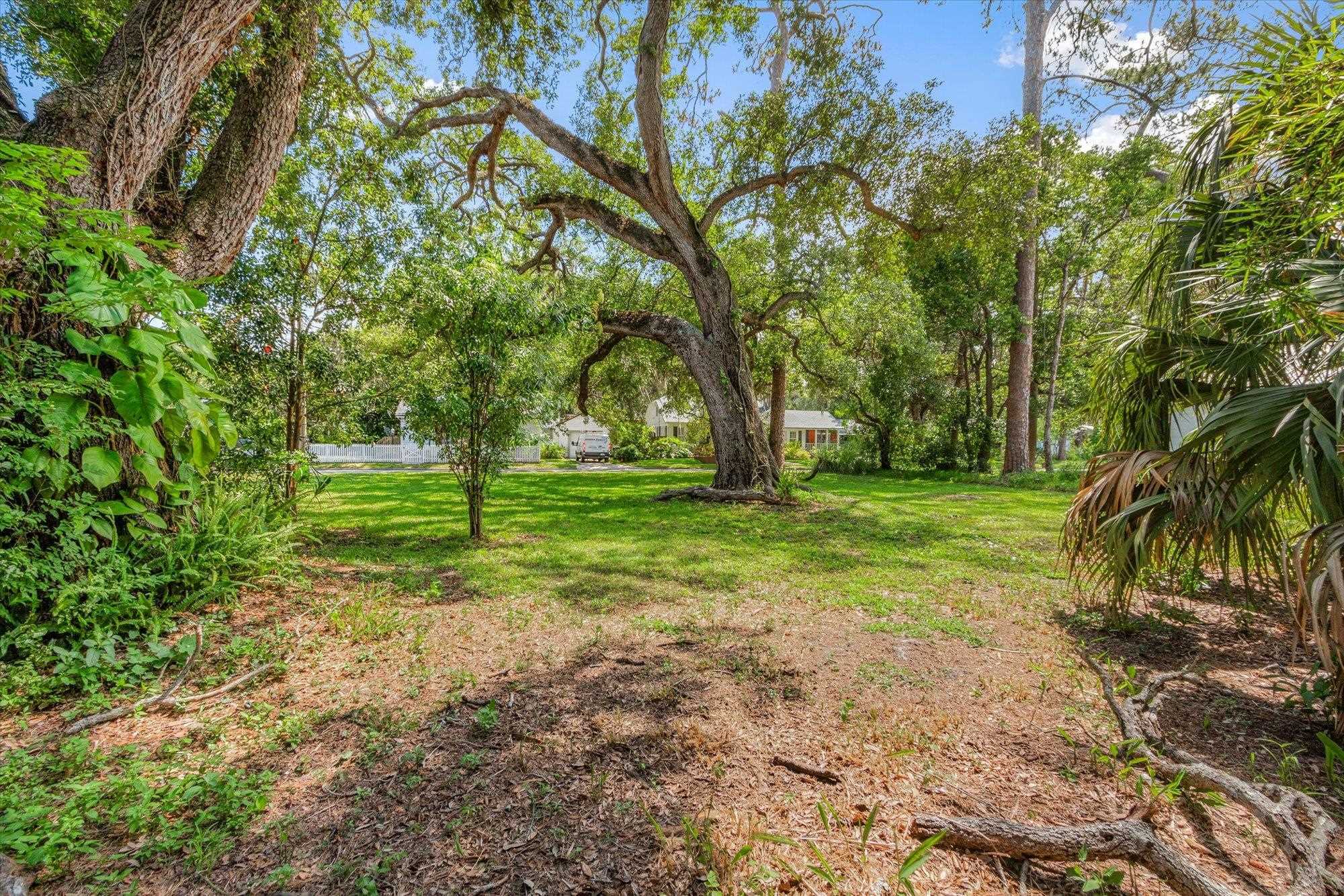 Property Photo: 0-A E Park Ave FL 32084