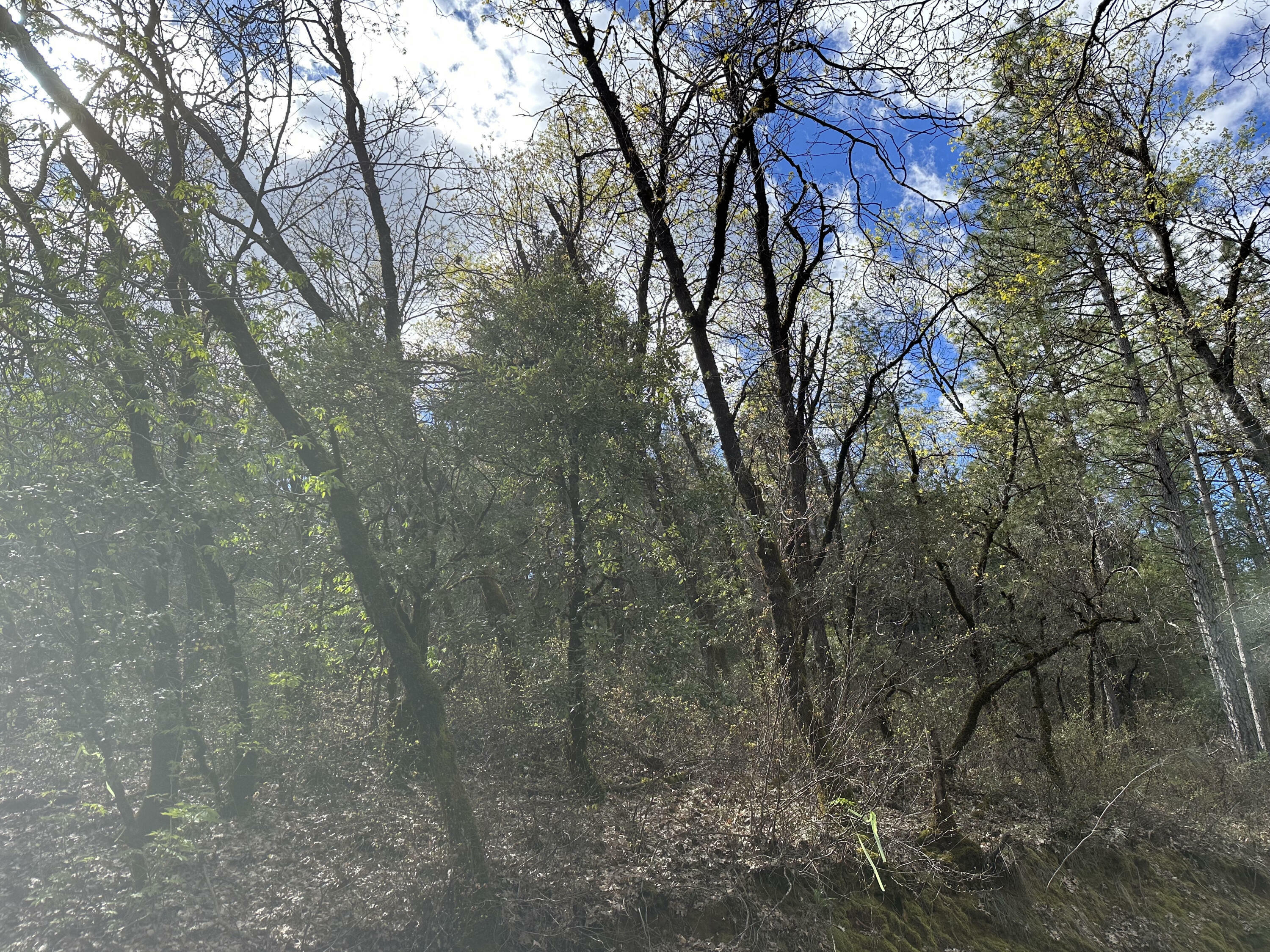 Property Photo: Geo Ln - Lot 16 Avenue CA 96051