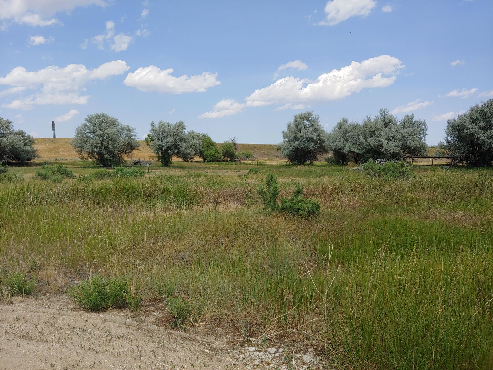 Property Photo: Glencoe Way Tbd WY 82834