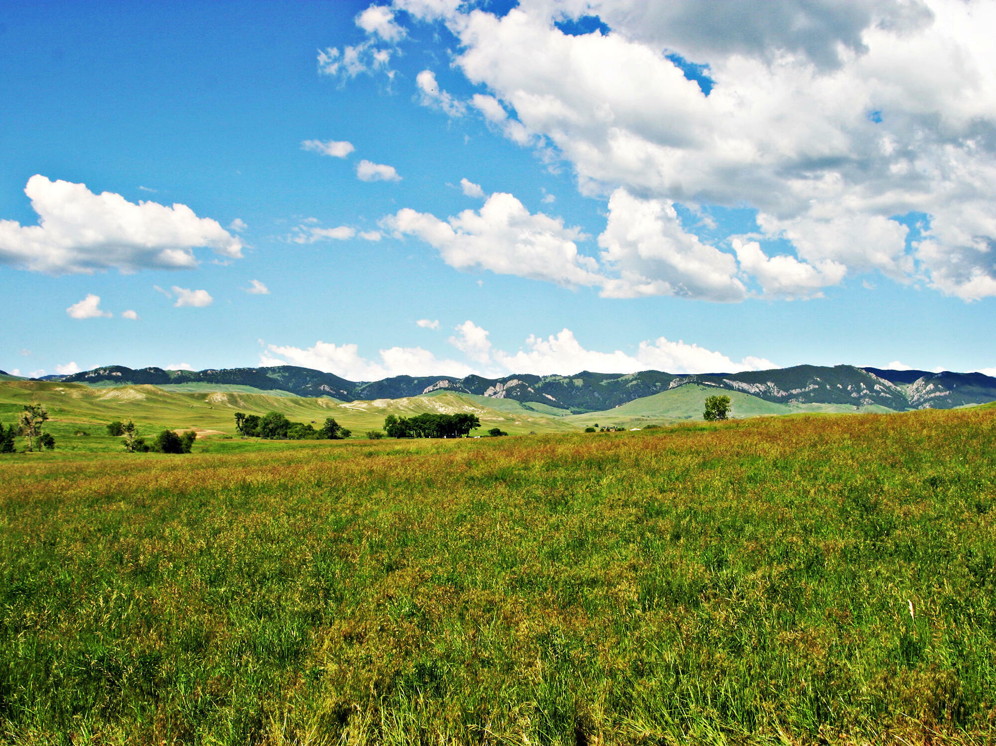 Property Photo: 77 Sand Creek Ranch Road WY 82834
