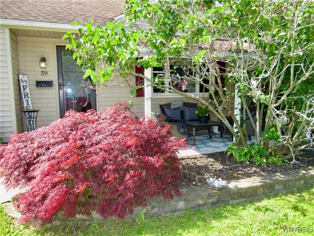 Property Photo: 59 Wayne NY 14225