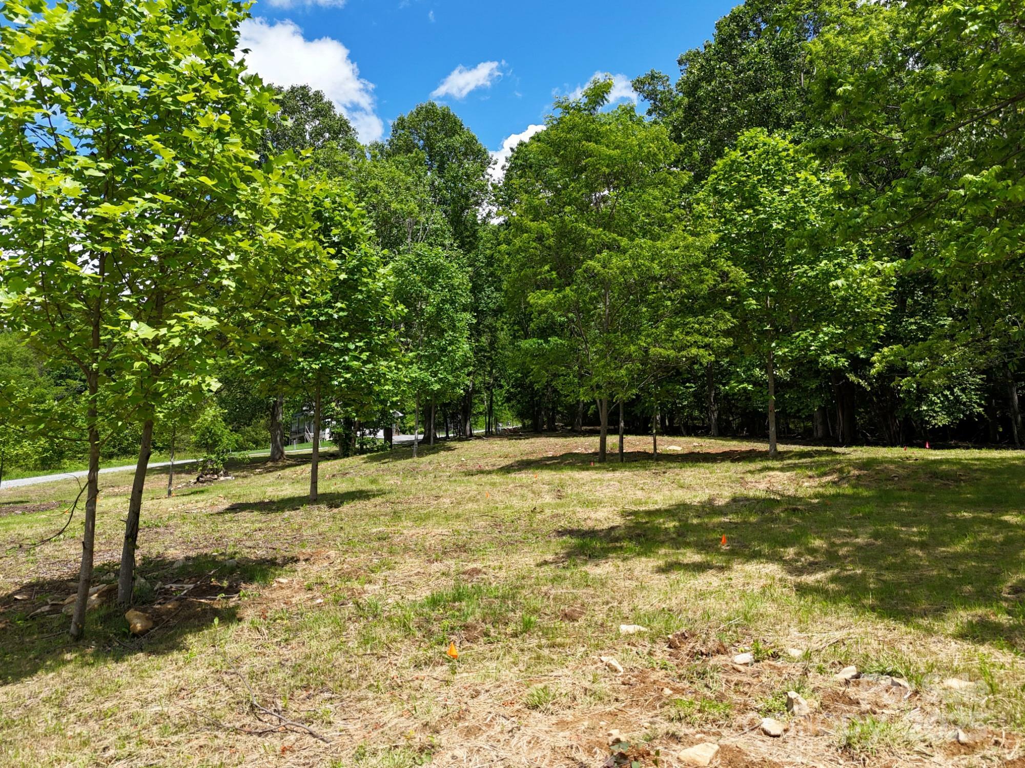 Property Photo: 280 Split Pine Cove NC 28721