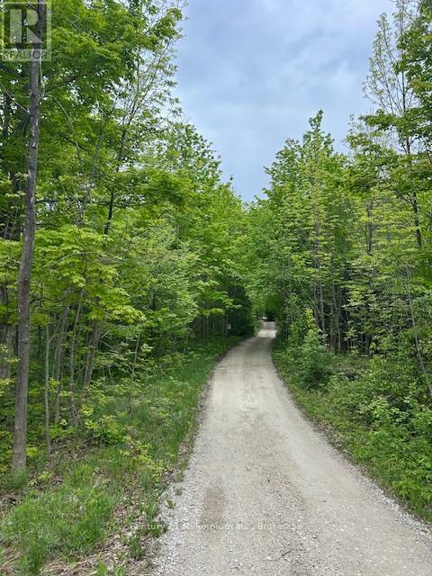 204495 Highway 26  Meaford ON N4K 5W4 photo