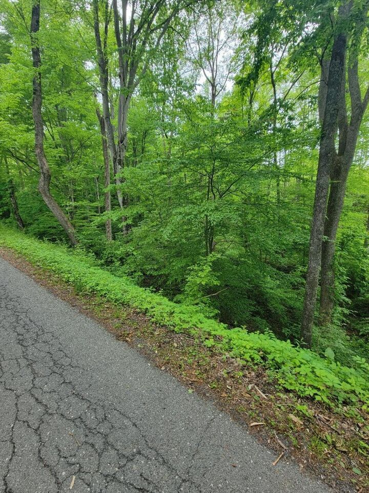 Property Photo: N/A Sec Rt 19/9 St WV 26651