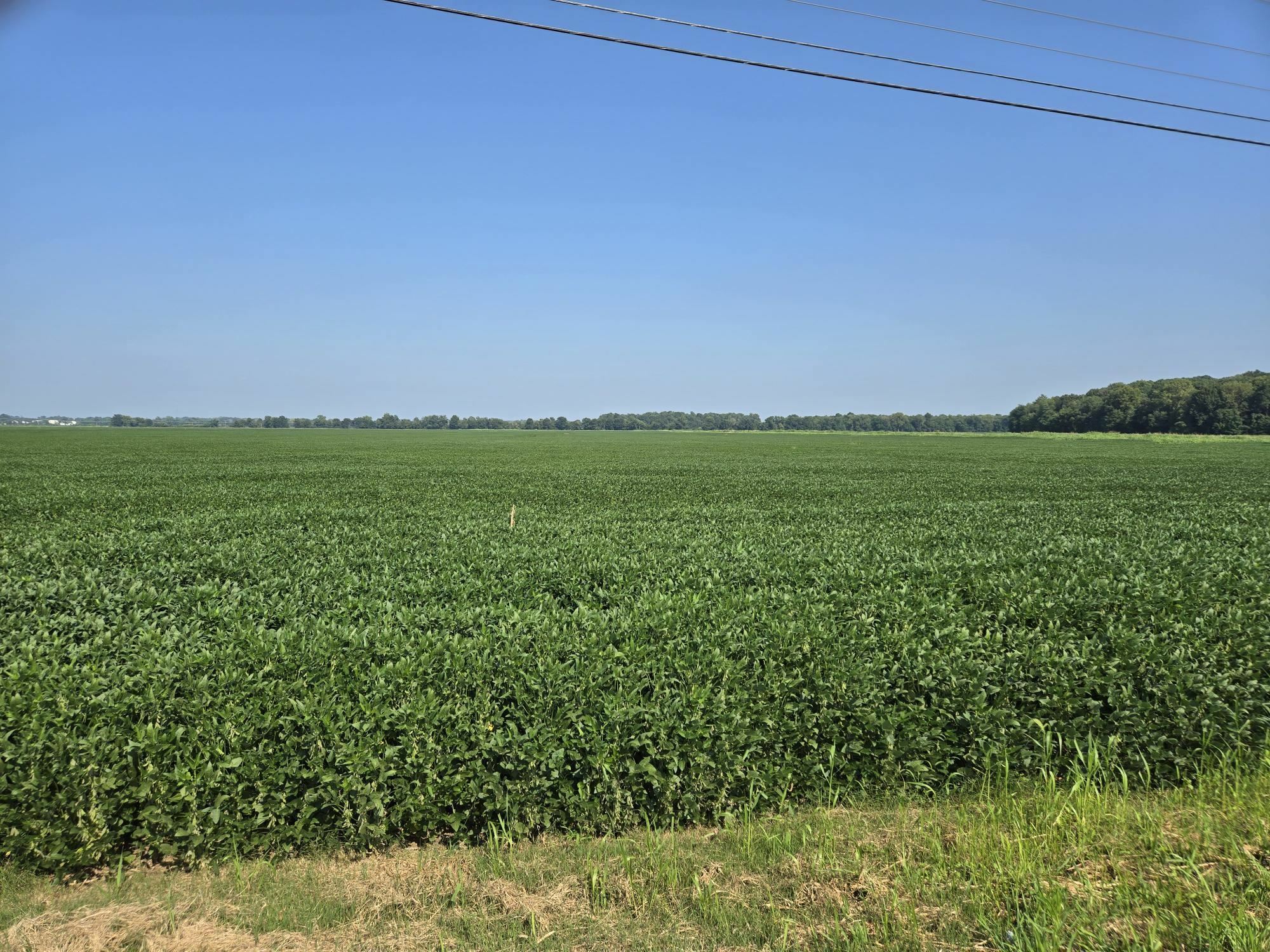 Property Photo:
