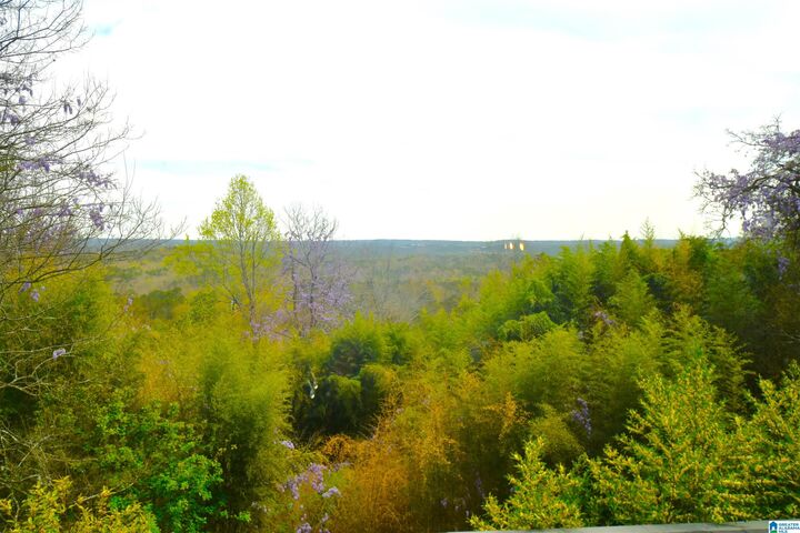 Property Photo:  3425 Ronlea Circle  AL 35243 
