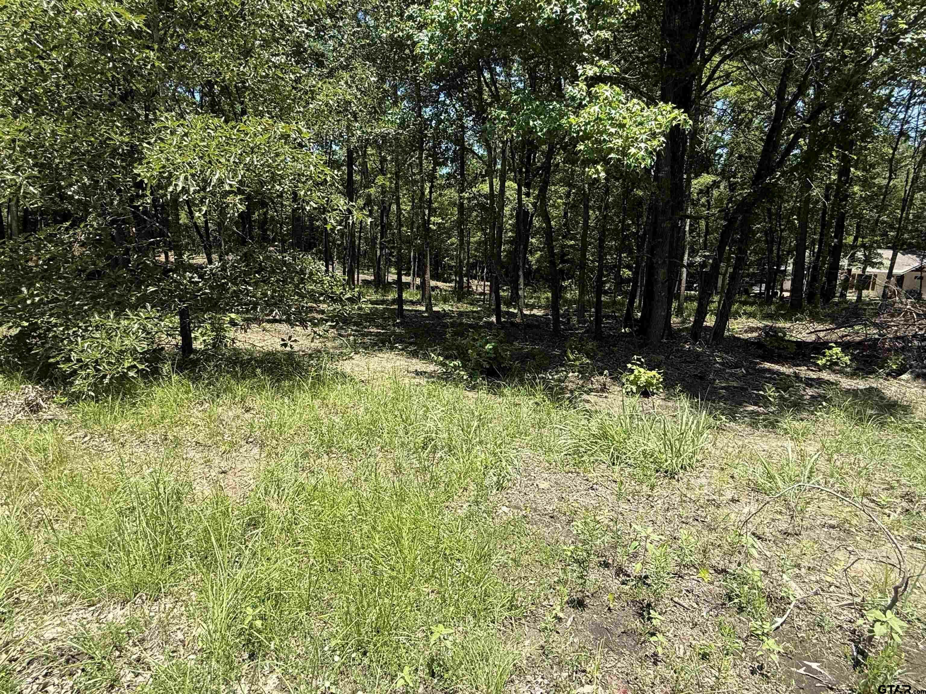 Property Photo: Tbd Pr 5861 (Lot 6) TX 75497