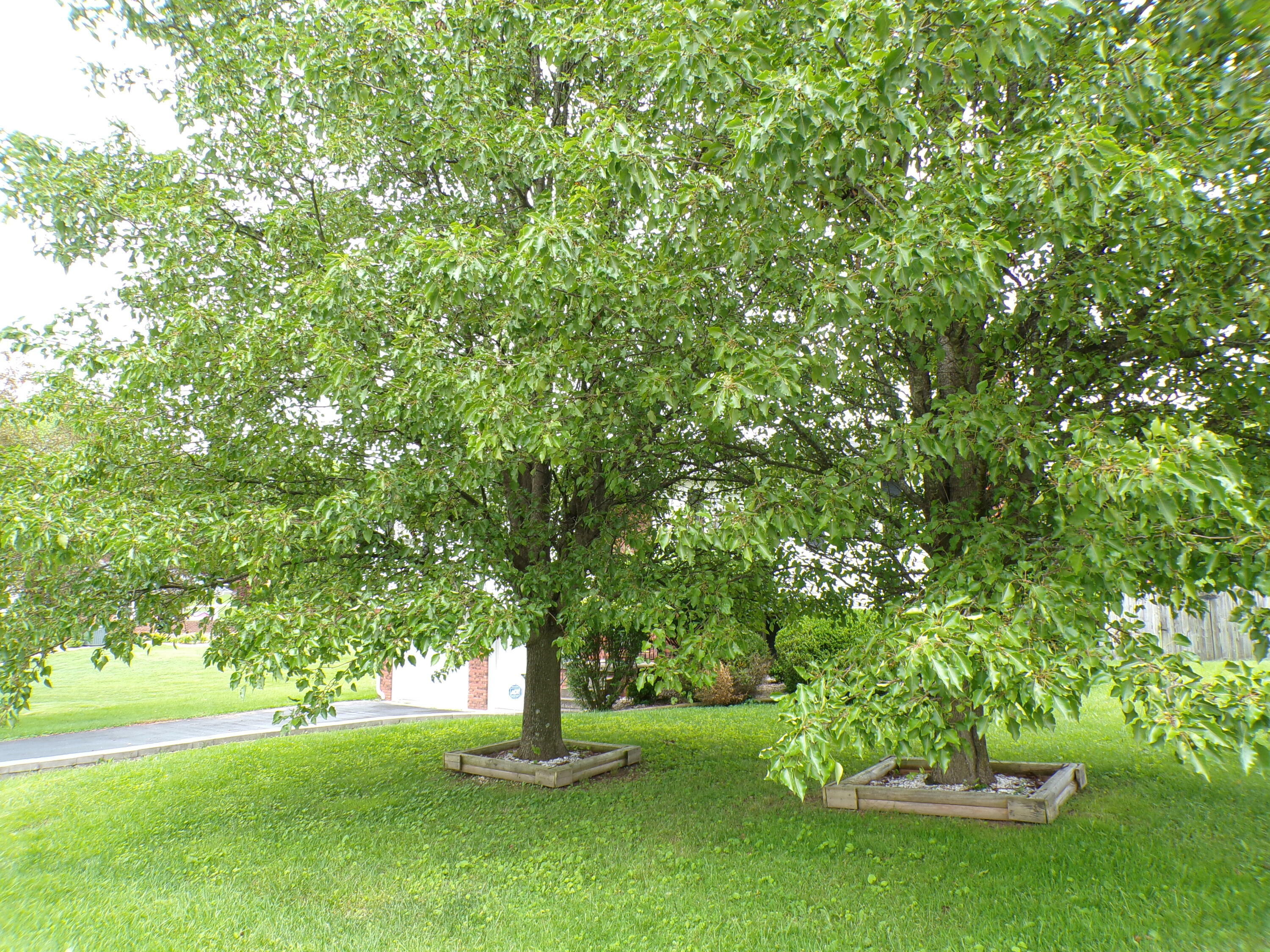 Property Photo: 706 Allf Lane KY 40741