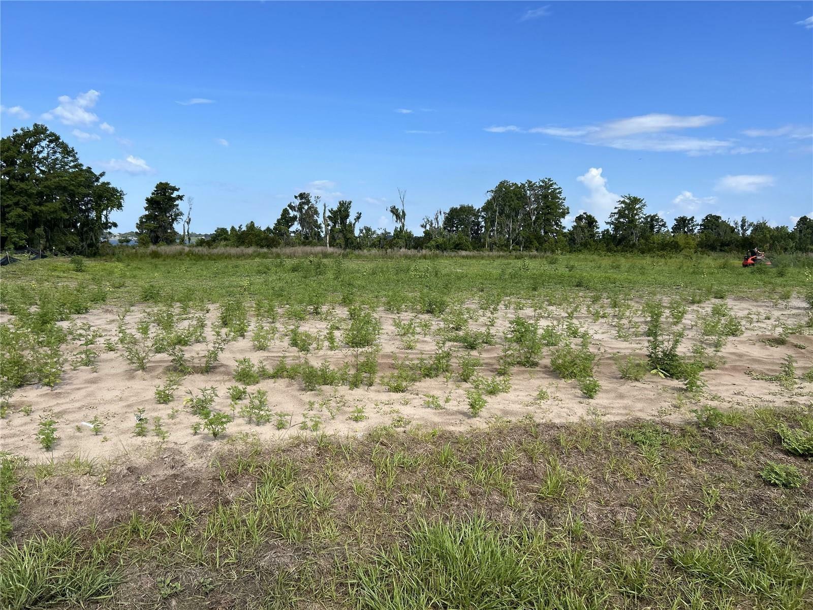 Property Photo:  12946 Stillwater Cove Drive  FL 34705 
