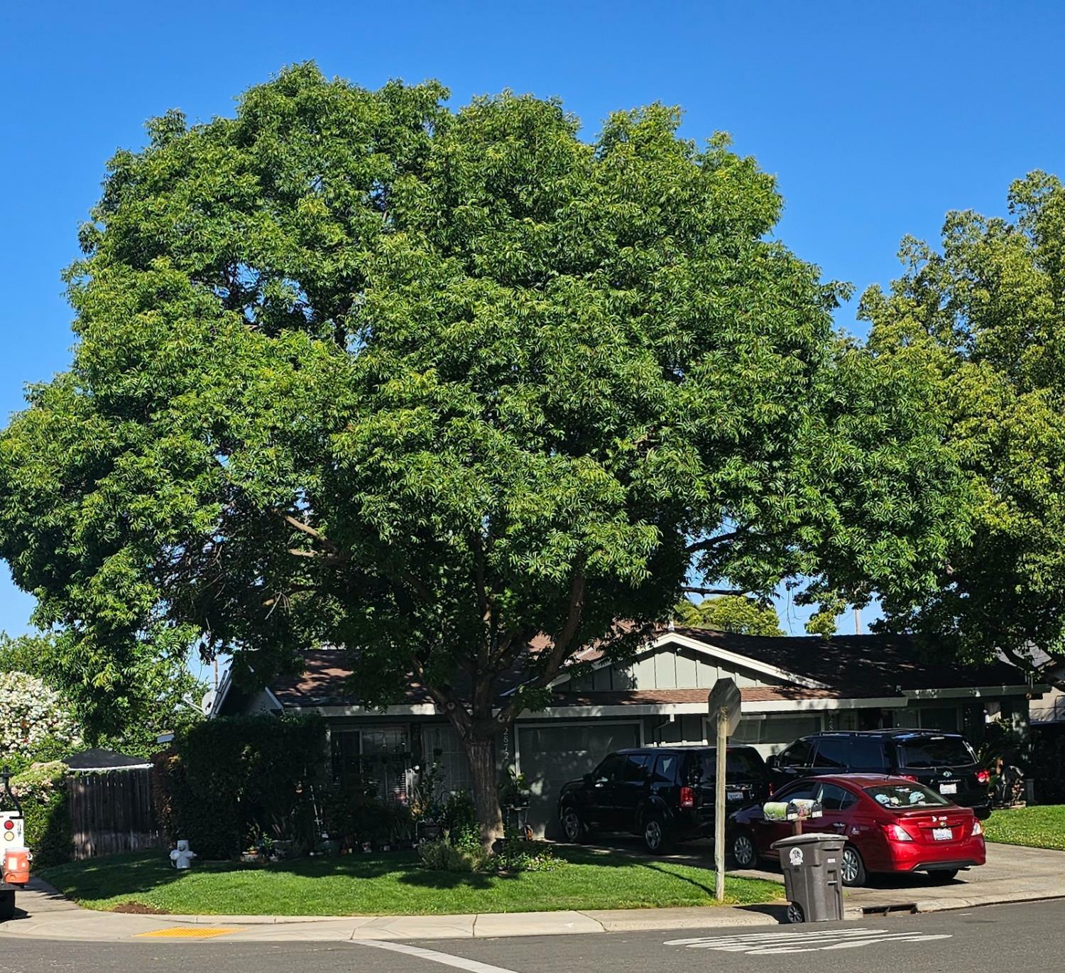 Property Photo: 2870 Cochise Court CA 95670