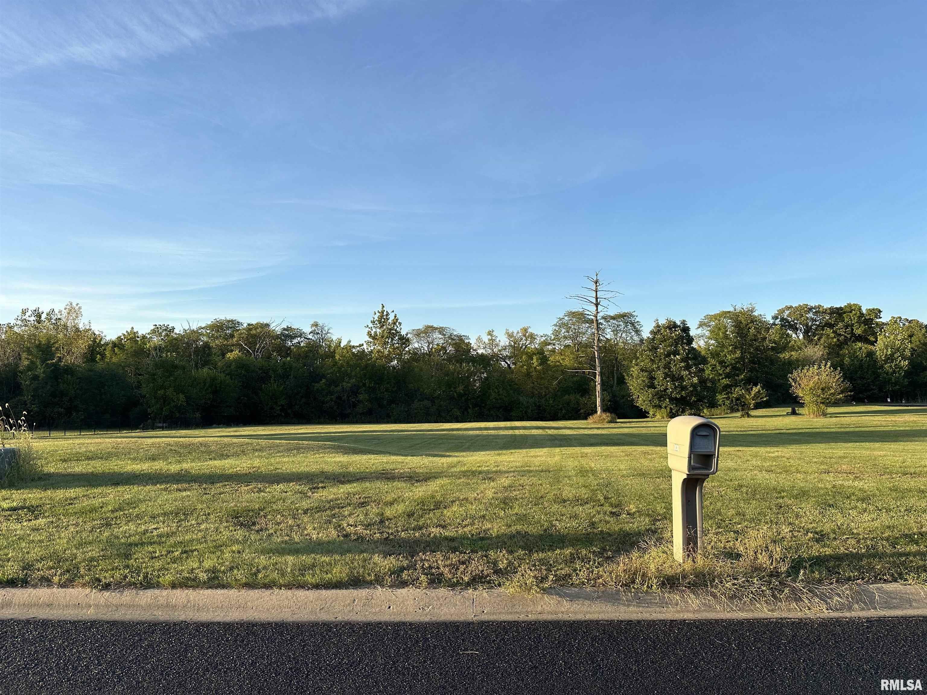 202 Silver Creek Drive  Washington IL 61571 photo