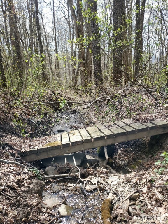 Property Photo:  7200 Kent Road  NY 14731 