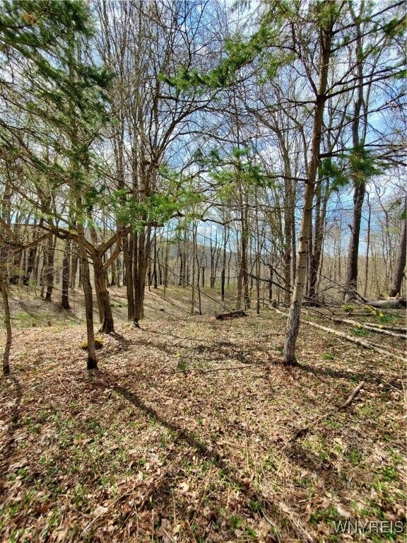 Property Photo: 7200 Kent Road NY 14731