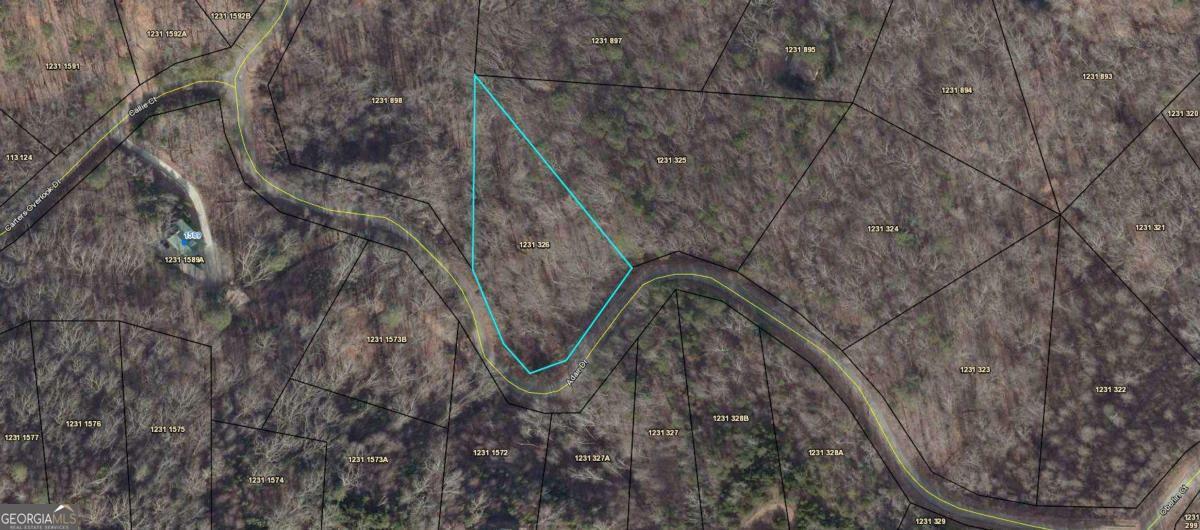 Property Photo: Lot 326 Adair Drive GA 30734