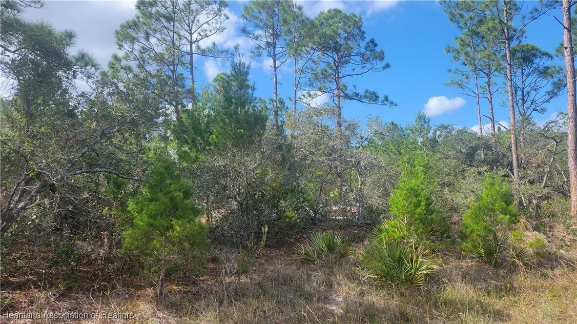 Property Photo: 238 Marshall Avenue FL 33852