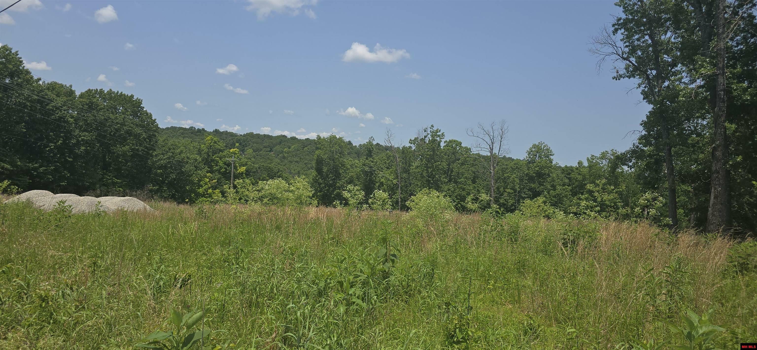 Property Photo: Lot 8 Buzzard Roost Road AR 72653