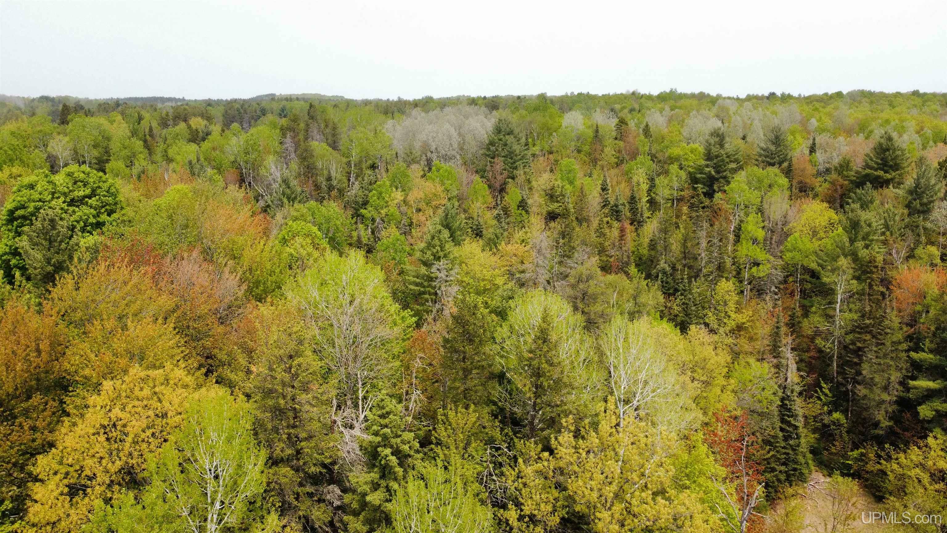 Property Photo:  Tbd Old 553 County Road  MI 49841 