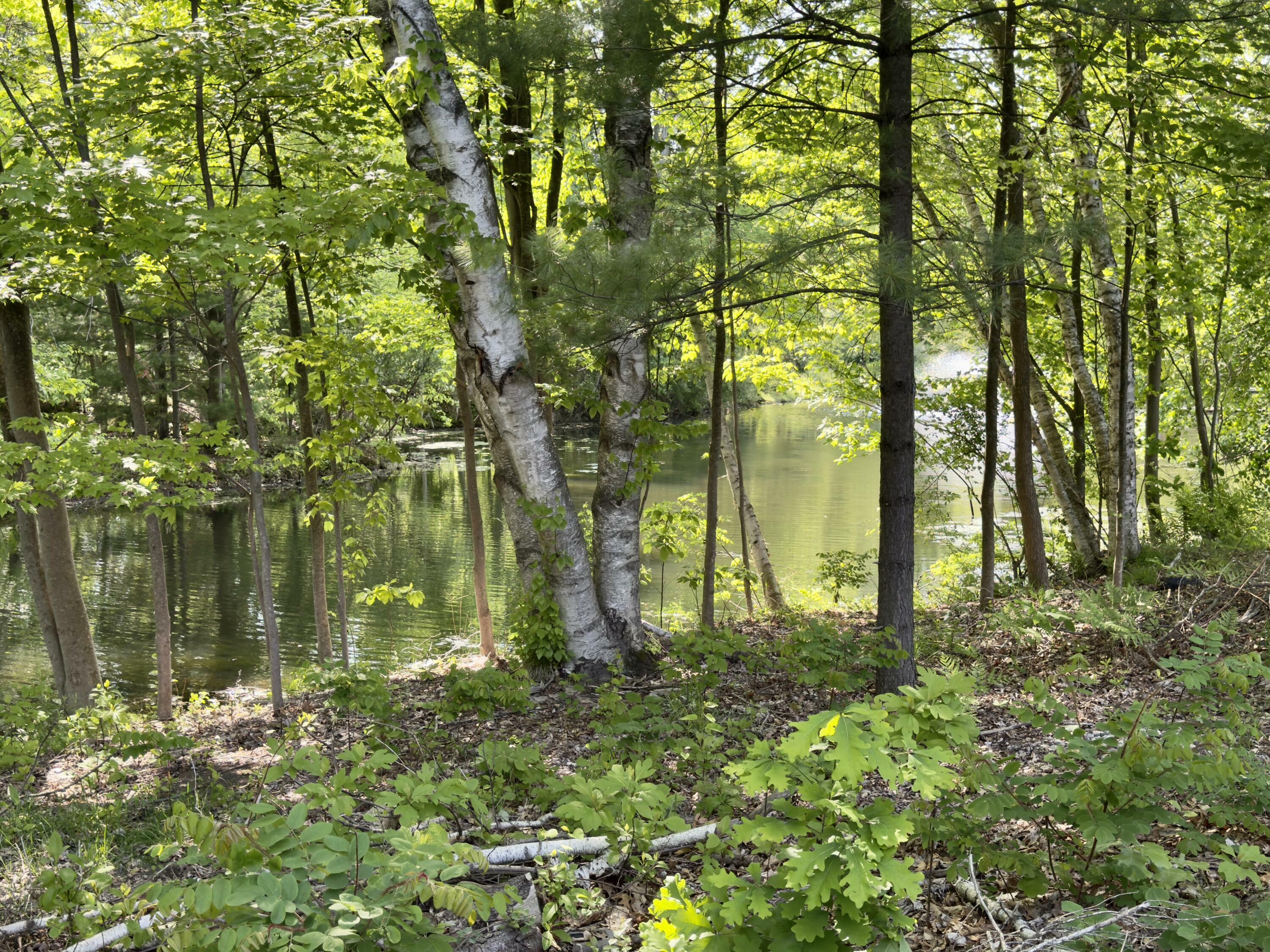 Property Photo: 14716 Arcadia Woods Drive MI 49456