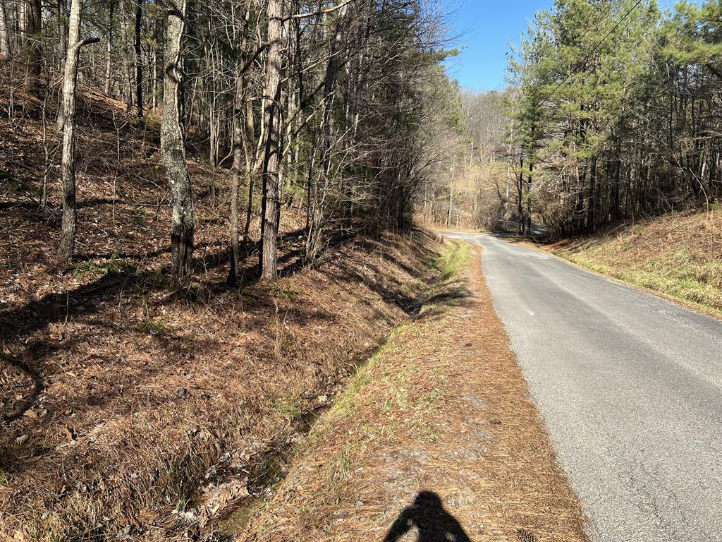 Property Photo: Lot 821 Monody Lane GA 30734