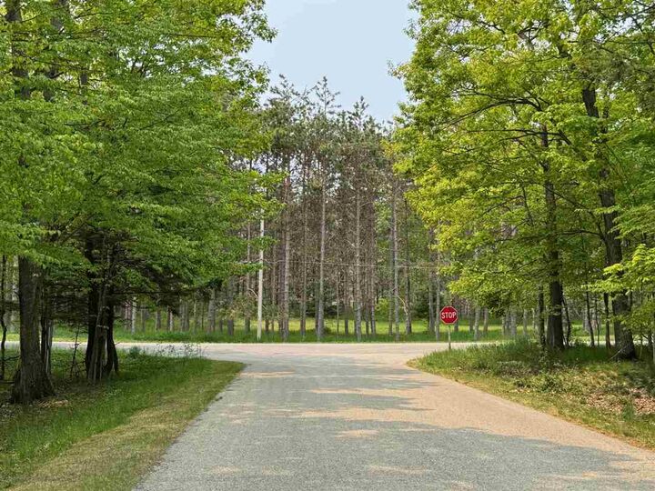 Property Photo:  5945 Lodgepole  MI 49740 