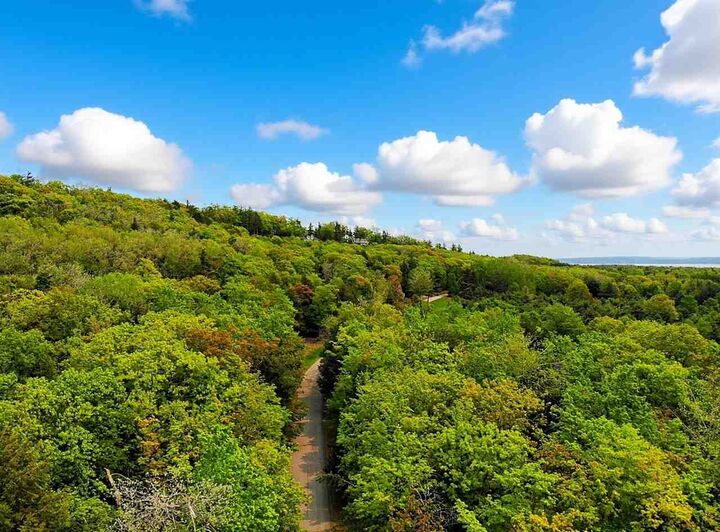 Property Photo: 5945 Lodgepole MI 49740