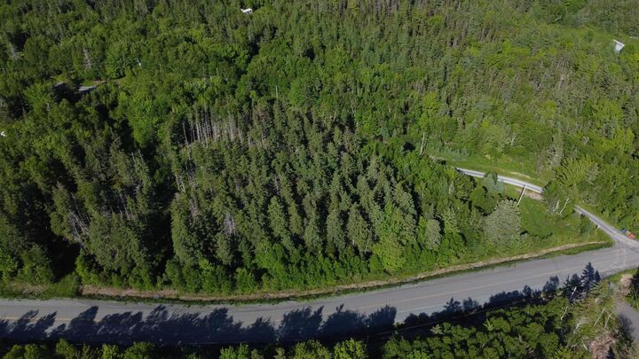 Property Photo:  Lot 04-12 Nature Dream P Boulevard  NS B0E 3B0 