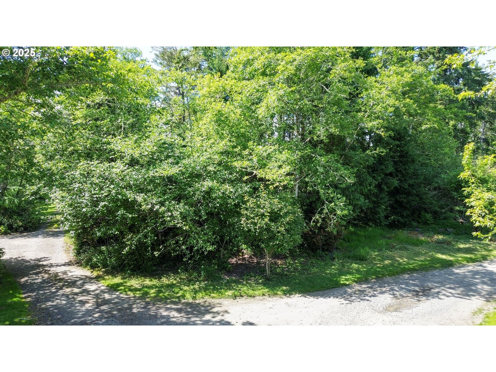 Property Photo:  Y Ln 11-12  WA 98640 