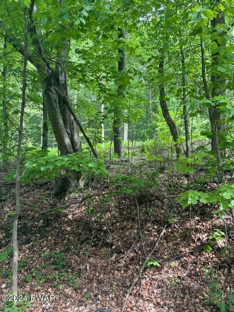 Property Photo: Lot #8 Mill Creek Road PA 18445