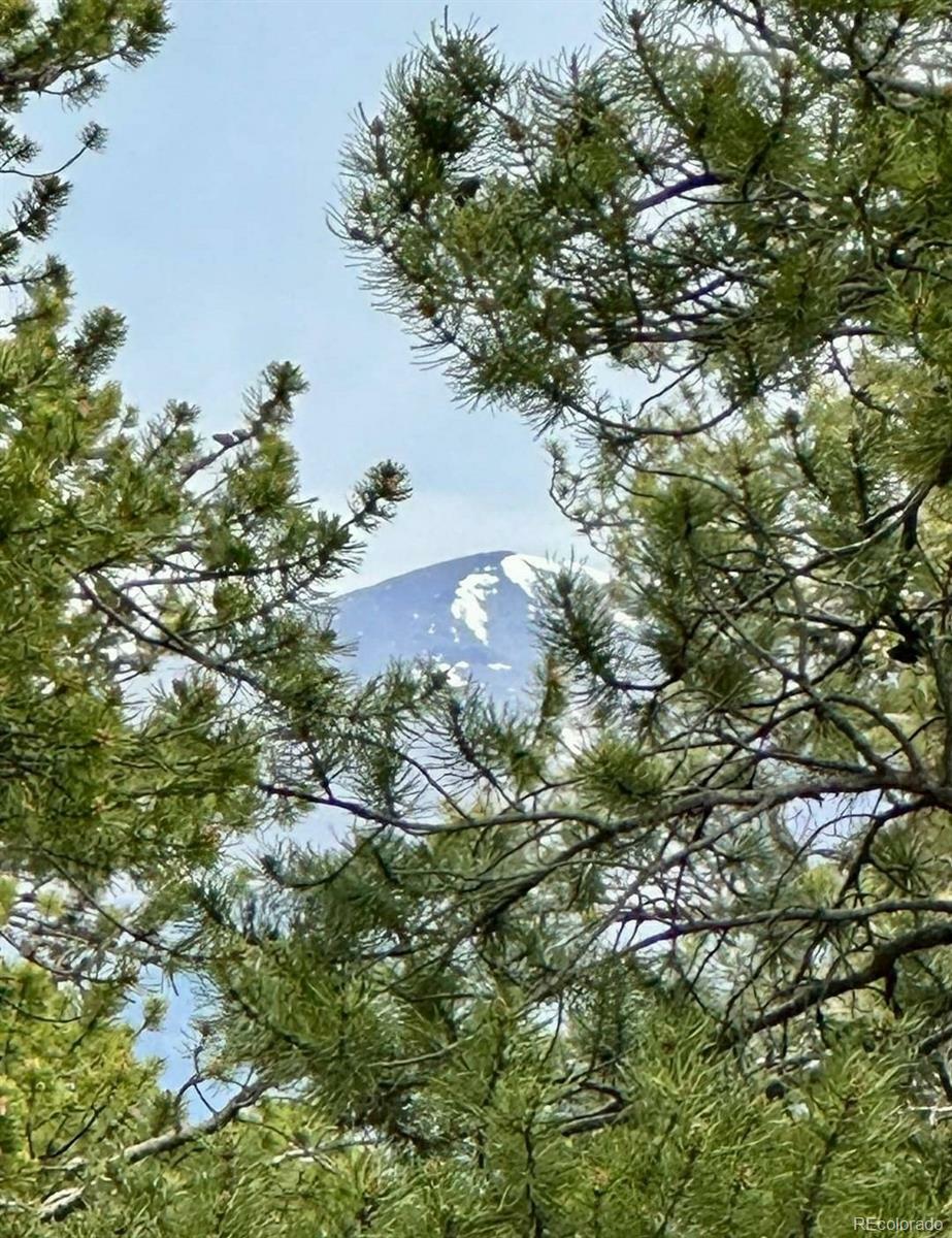 Property Photo: 30304 Aspen Turn CO 81211
