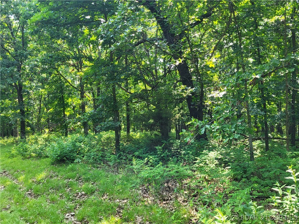 Property Photo: Rolfs Place Lots 3135 &Amp 3136 MO 65326