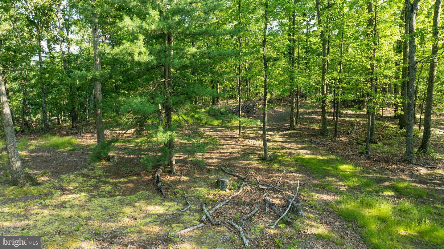 Property Photo: Lot A Saw Mill Road WV 25427