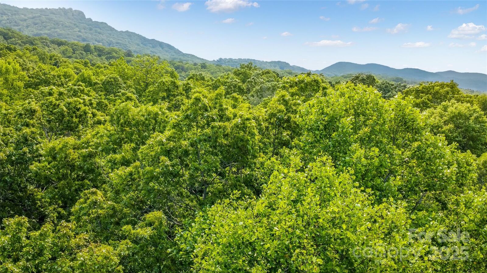 Property Photo:  00 Morgan Hill Road  NC 28730 