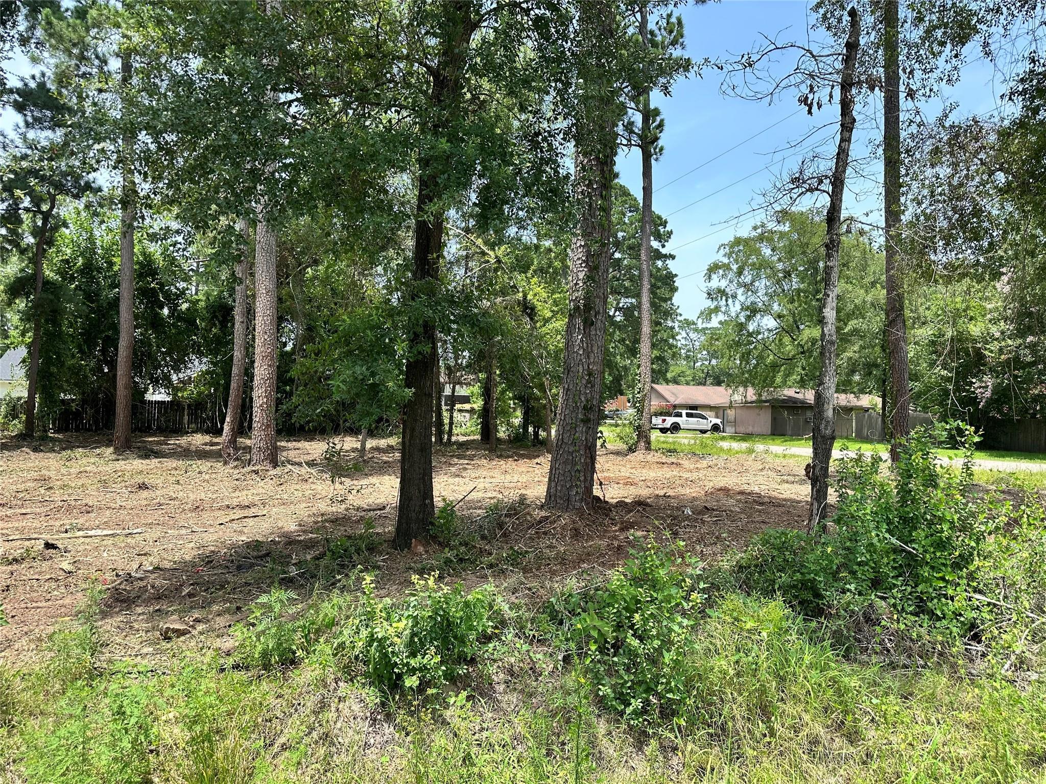 Property Photo: 0 Tallow Drive TX 77385