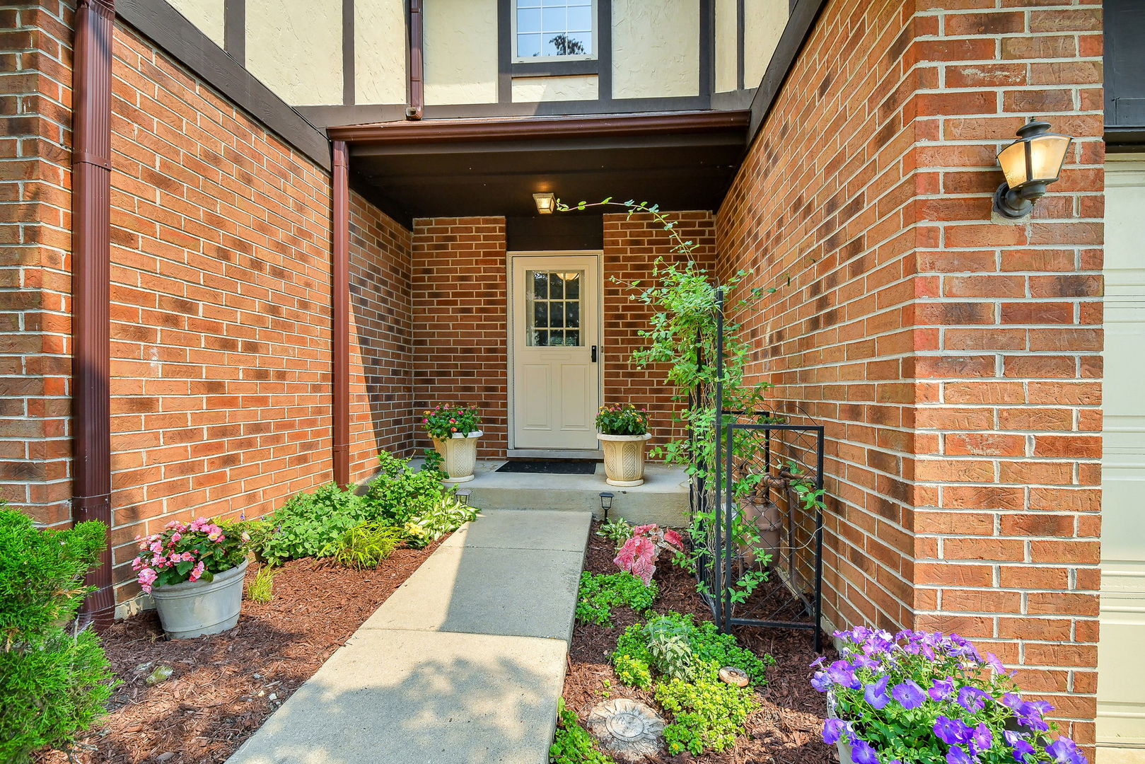 Property Photo: 204 Stoneybrook Lane IL 60108