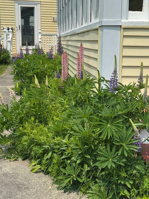 Property Photo: 14 Water Street ME 04631