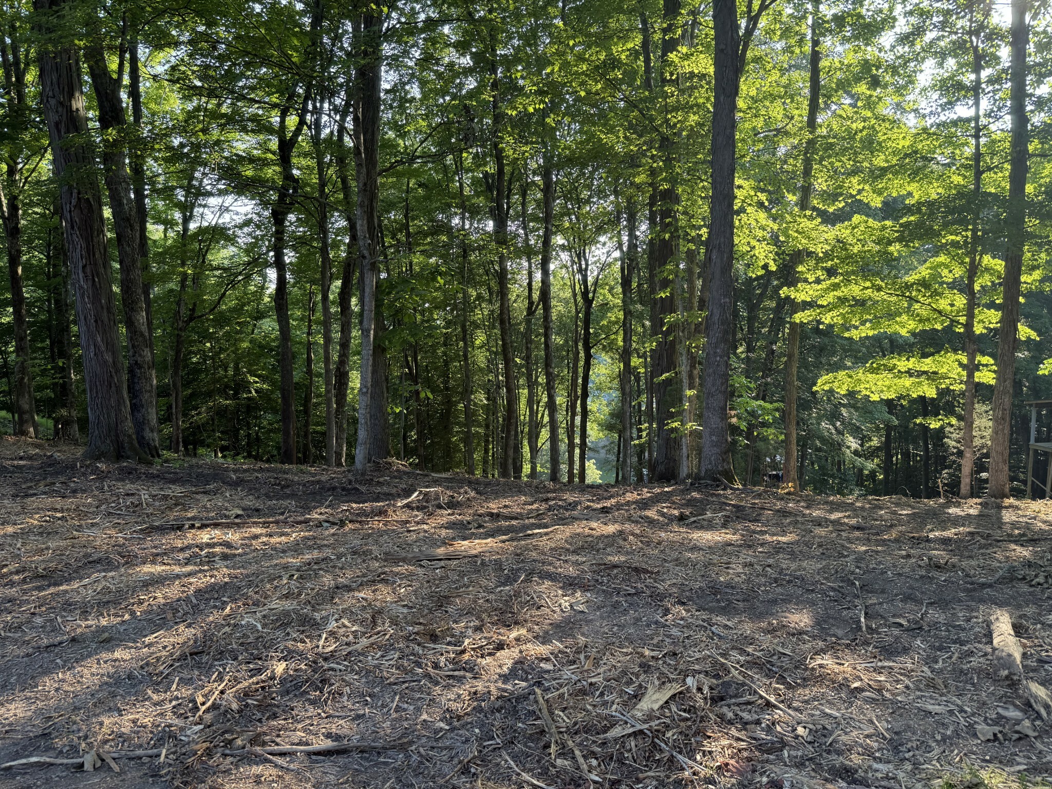 Property Photo: 0 Ridgeview Run TN 37352