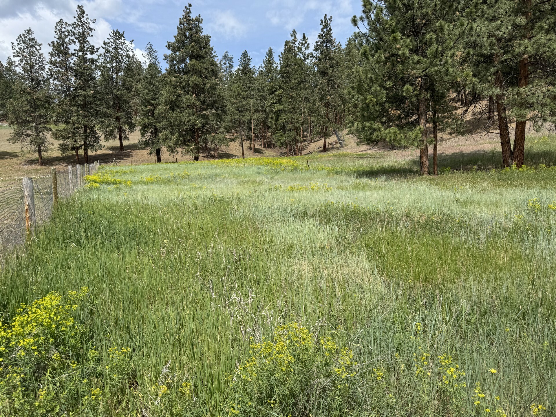 Property Photo: Parcel C Hwy 93 S MT 59804