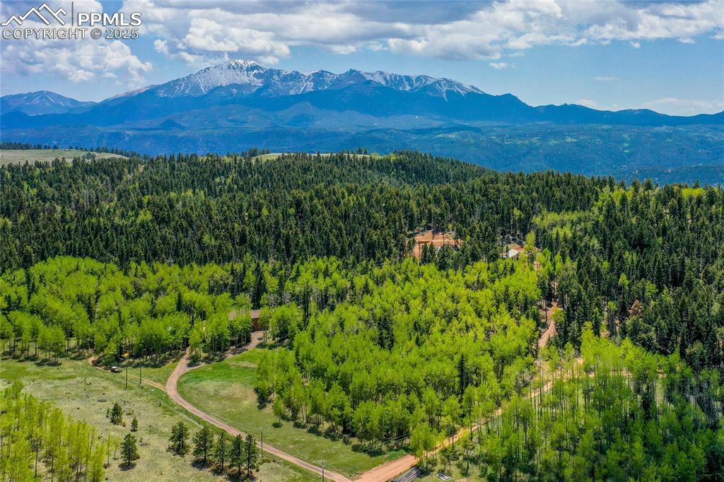 Property Photo: 10955 Grenadier Road CO 80863
