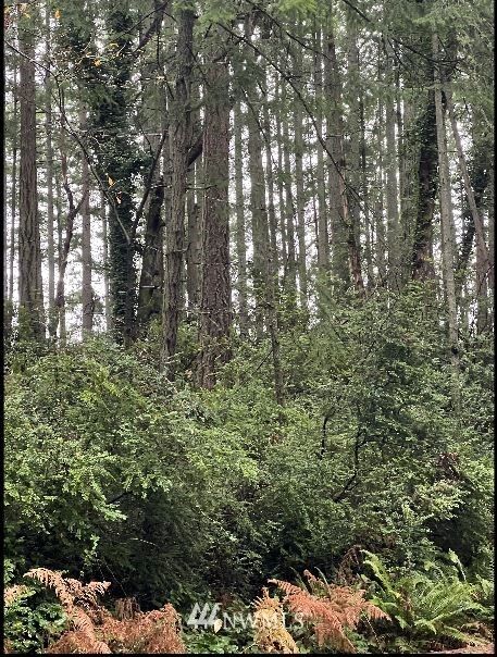 Property Photo:  0 Xxxx  Horsehead Bay  WA 98335 