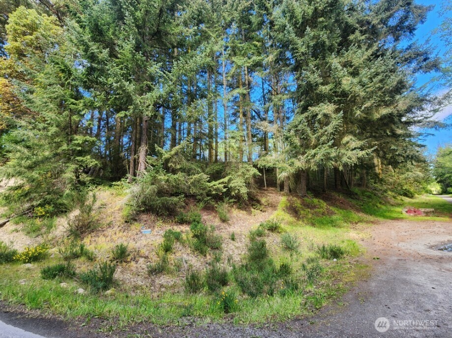 Property Photo: 936 Gasman WA 98362