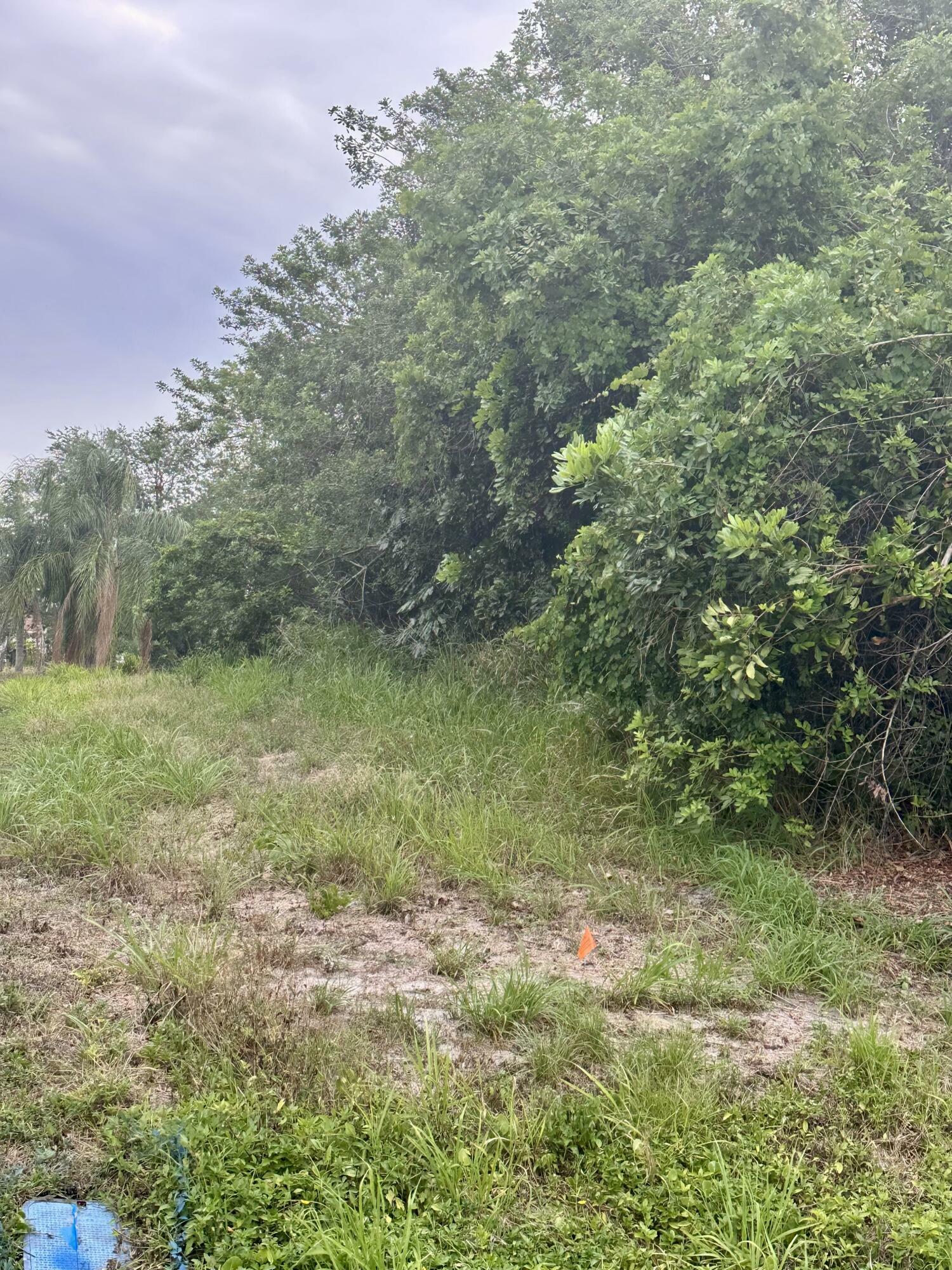 Property Photo: 181 SE Whitmore Drive FL 34984