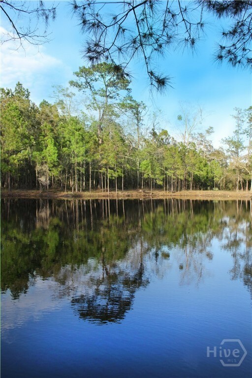 Property Photo: 1 William'S (36 Lots 95 Acres) Retreat GA 31419
