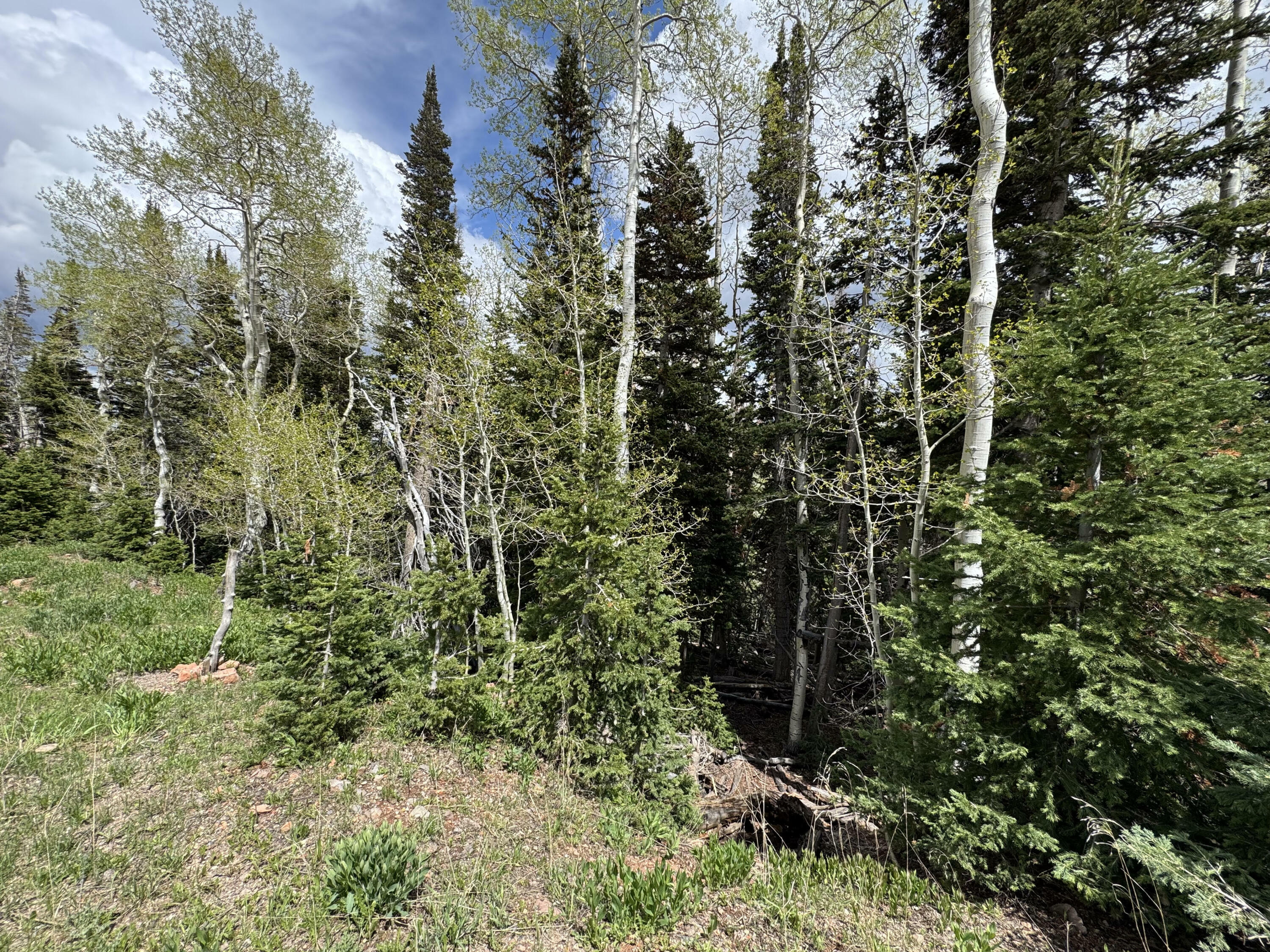 Property Photo: 695 W Hunter Ridge Rd 3 UT 84719