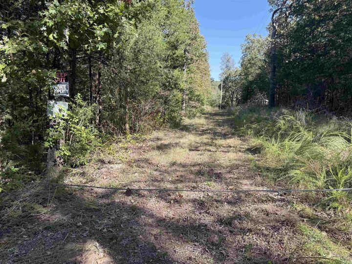 Property Photo: 232 New Hope Road AR 72653