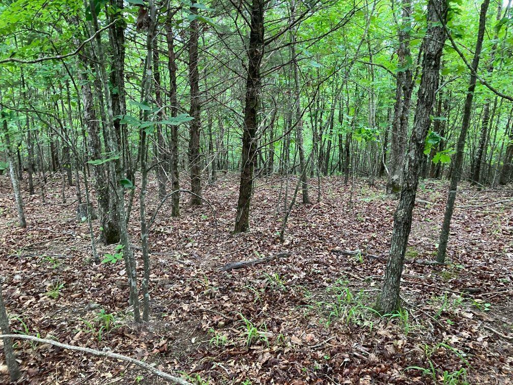 Property Photo:  Tbd Tract 2 Thompson Creek Lane  AR 71953 