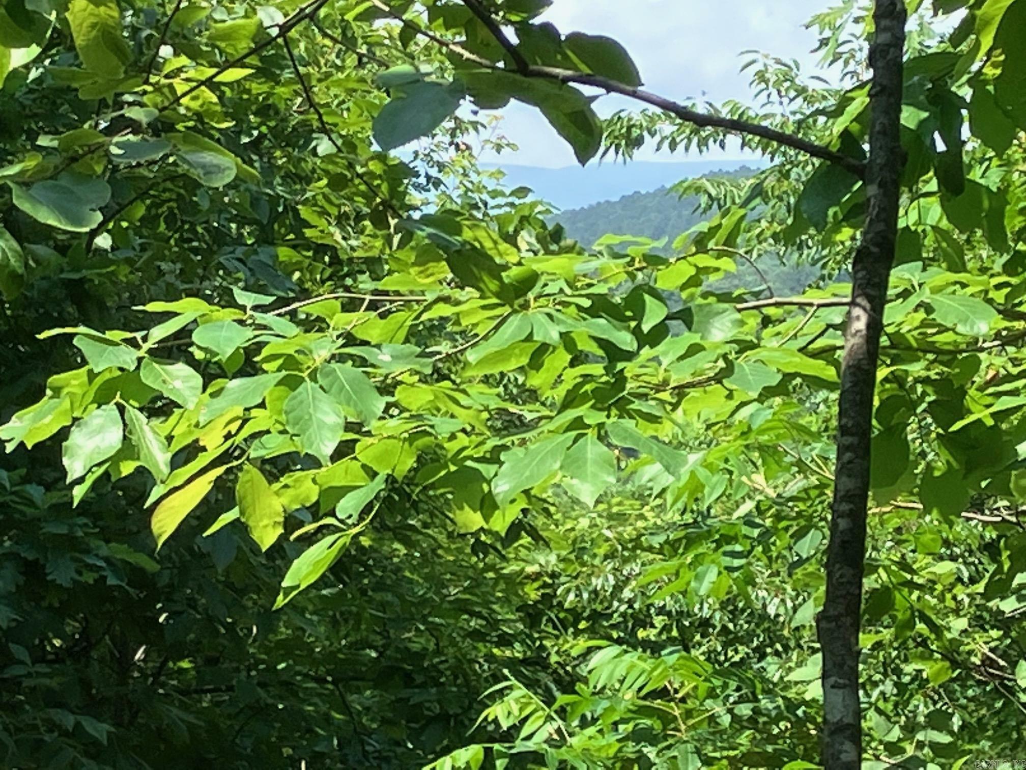 Property Photo: Tbd Tract 5 Thompson Creek Lane AR 71953