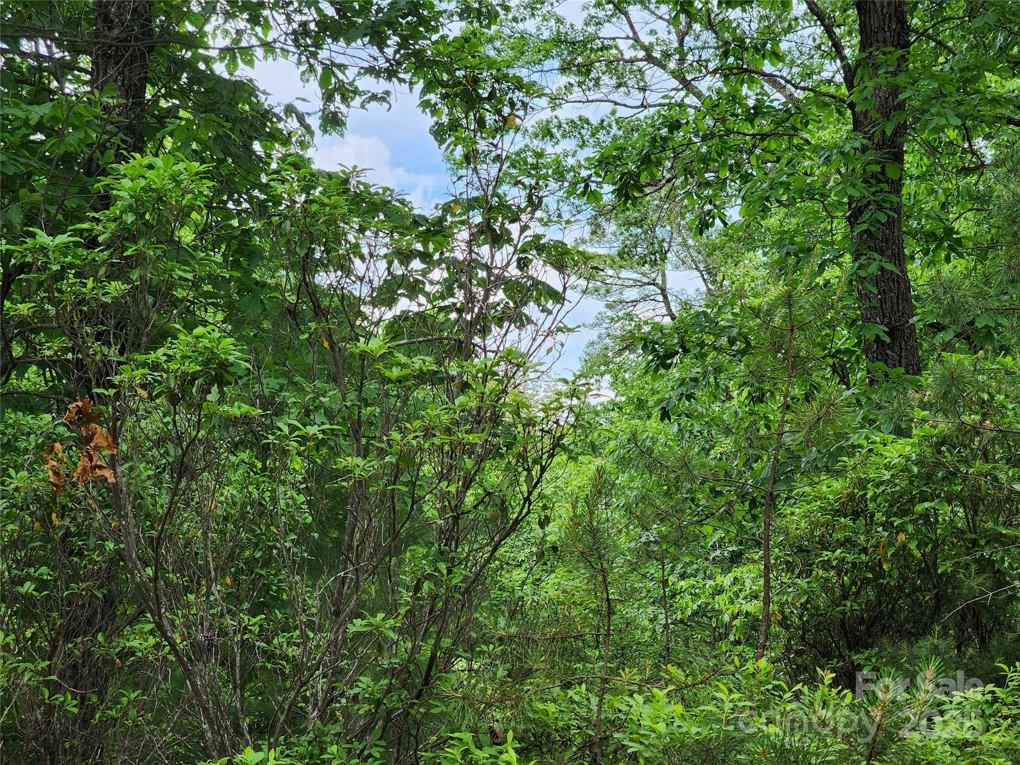 Property Photo: Tbd Derby Chase Court NC 28649