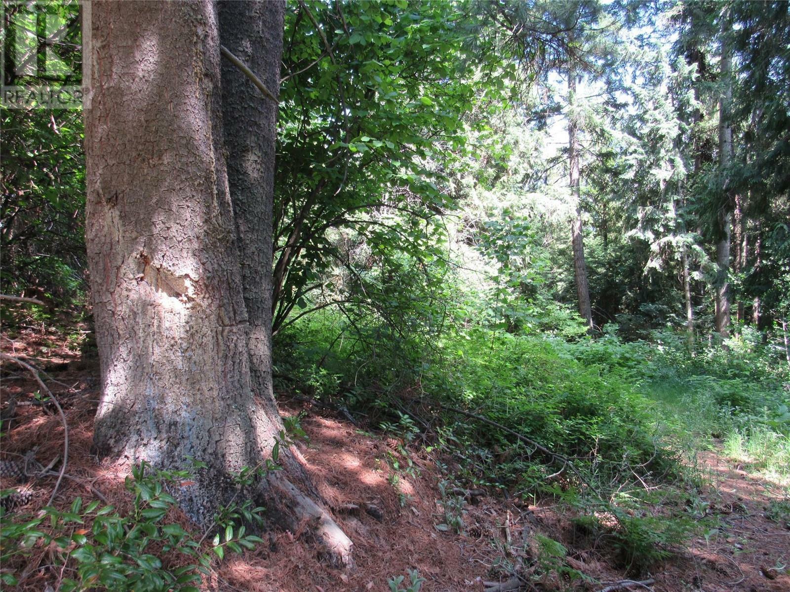 Property Photo:  2532 10th Avenue Parcel A  BC V1N 3A2 